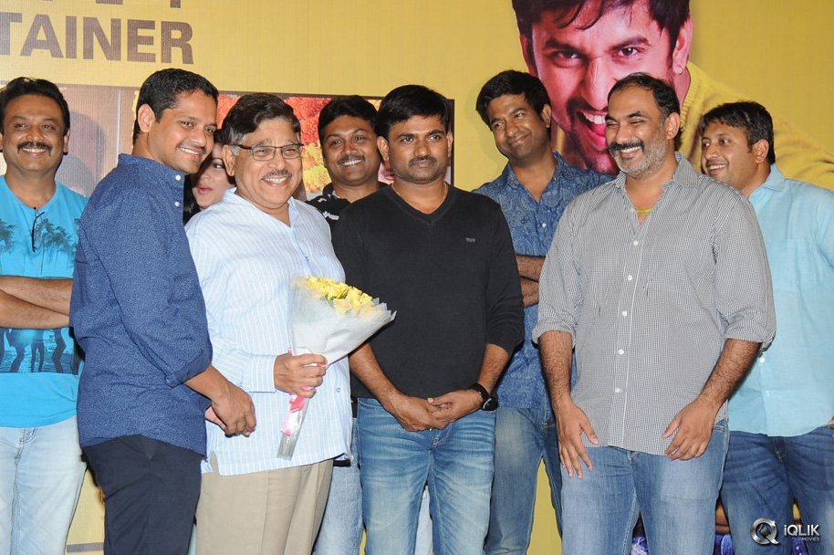 Bhale-Bhale-Magadivoy-Movie-Success-Meet